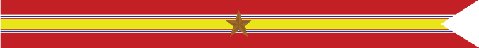 United Stated Navy National Defense Service Campaign Streamer with 1 Bronze Star